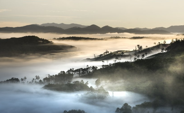 快手现在跑游戏直播返点多少？快手跑保险业成本多少