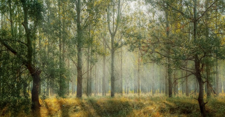 快手代理商是哪家？快手现在投放广告需要多少钱