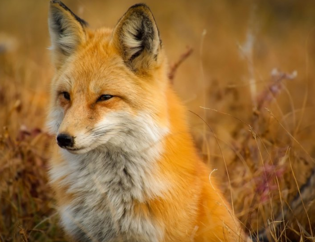 快手广告怎么收费？快手跑旅游行业有户吗