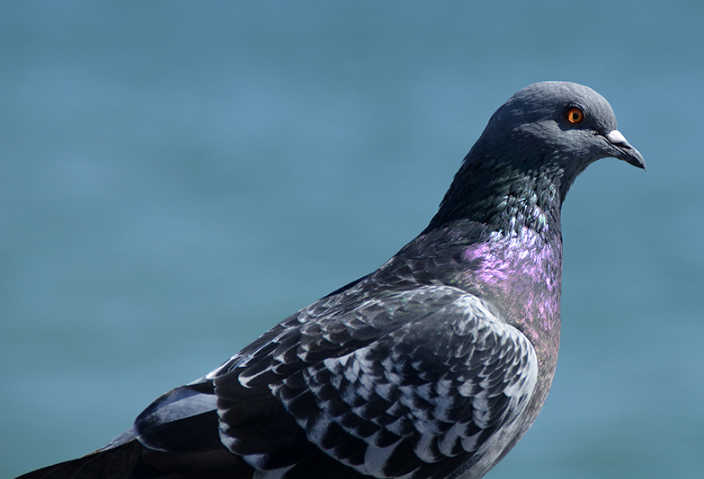 快手短视频现在跑木工机械成本需要多少钱？快手广告投放效果怎么样？