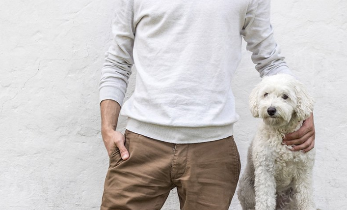 快手信息流广告在哪里开户？ 快手信息流营销一般是多少钱？