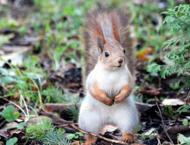 快手现在跑农业成本需要多少钱呢？快手代理商电话是多少？