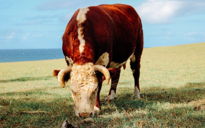 快手信息流推广怎么收费？ 快手信息流推广效果怎么样呢?