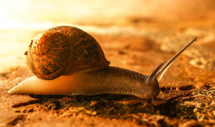 快手信息流开屏广告效果好吗？ 快手信息流开户怎么收费？