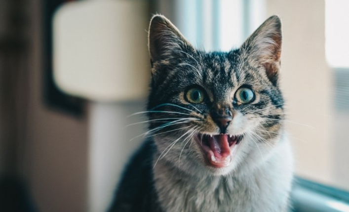 快手信息流开户费用需要多少钱？ 快手信息流多少钱代运营？