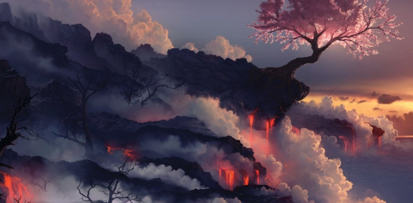 快手开户政策有哪些？有哪些优惠活动？