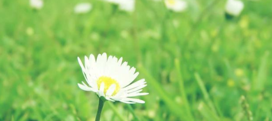 快手短视频广告流程有哪些？快手短视频广告价格是多少？