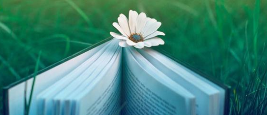 快手短视频广告流程有哪些？快手短视频广告价格是多少？