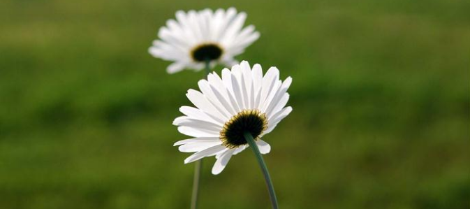 快手短视频开户投放技巧有哪些？开户价格是多少？