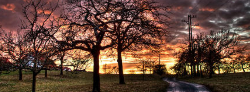 快手短视频开户怎么收费?快手跑美妆成本是多少？