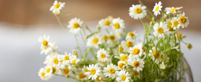 快手广告的展现形式有哪些？有哪些优点？