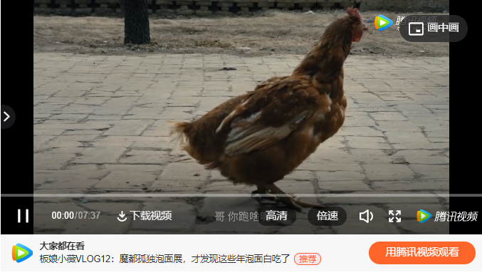 快手广告投放_快手广告开户_快手广告价格