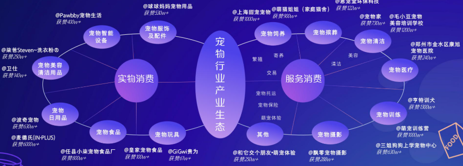 2021年快手宠物行业产业生态是怎样的? 2021年快手宠物行业产业生态是怎样的?