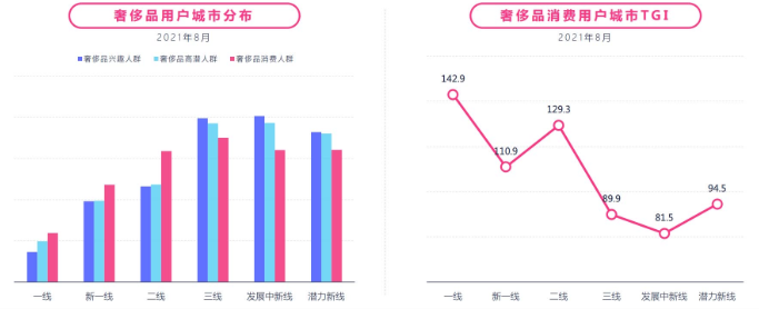在快手投放奢侈品广告的案例有哪些？