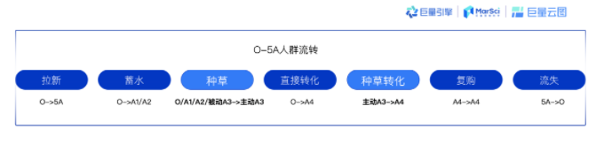 数据显示，相比A3人群，主动A3是更容易被深度种草和转化的受众群体。