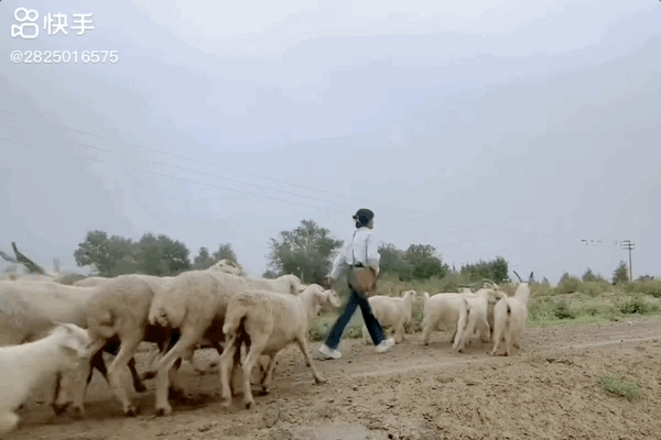 9月2日晚上八点,迎着新疆的夕阳余晖,数万老铁们闻讯而来。 9月2日晚上八点,迎着新疆的夕阳余晖,数万老铁们闻讯而来。