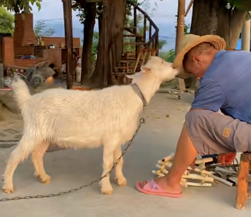 快手广告营销开户代理商