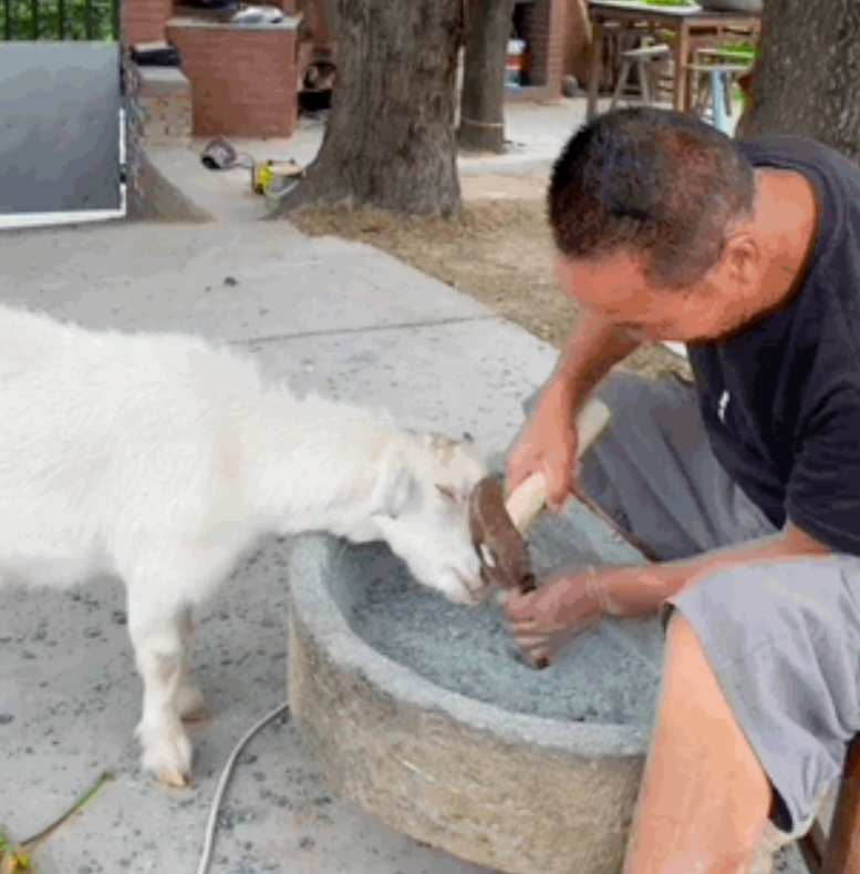 快手短视频推广开户