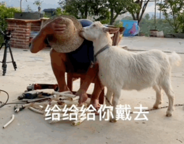 快手广告投放平台官网