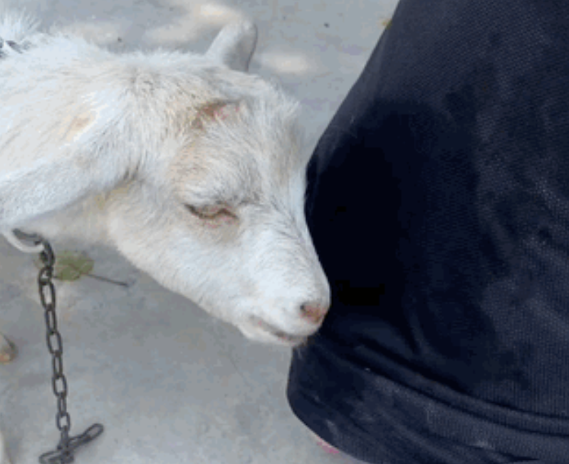 快手广告投放_快手广告开户_快手广告价格