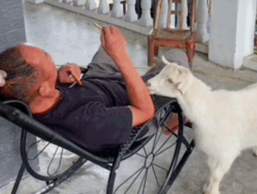 快手广告投放平台注册