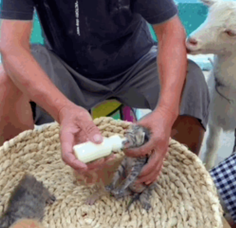 快手投放管理平台