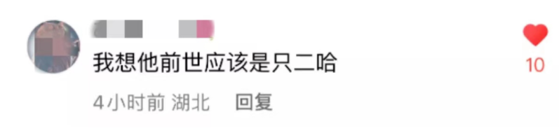 快手广告投放平台