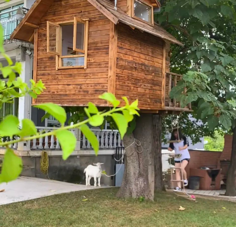 快手平台推广选择哪一种方式?