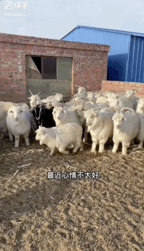 如何在快手上做广告推广 如何在快手上做广告推广