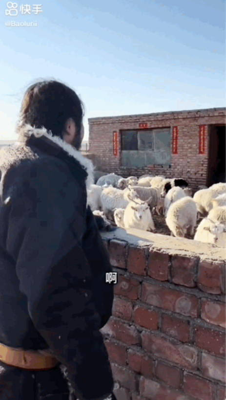 快手广告推广公司 快手广告推广公司