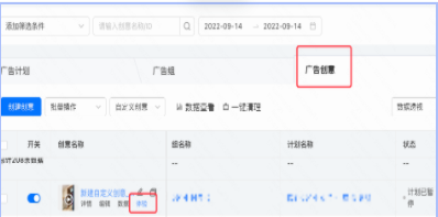 过审后开启广告组&广告计划，点击创意层级的[体验]