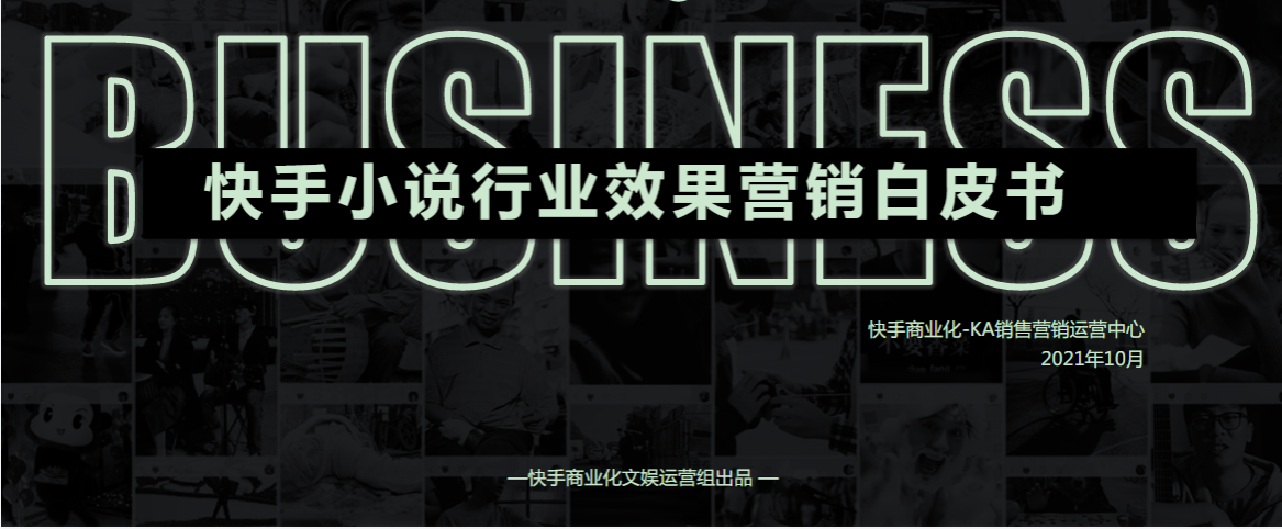 快手小说行业效果营销白皮书