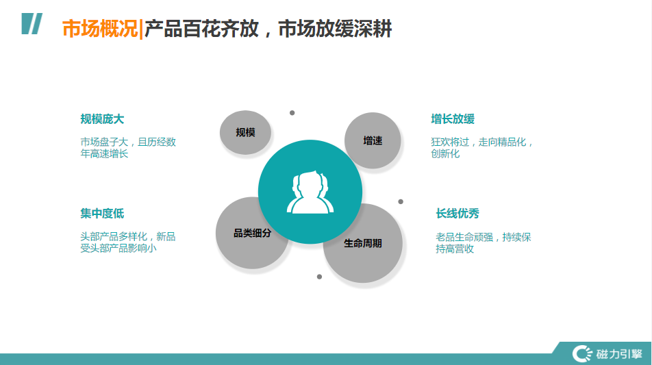 市场概况|产品百花齐放，市场放缓深耕