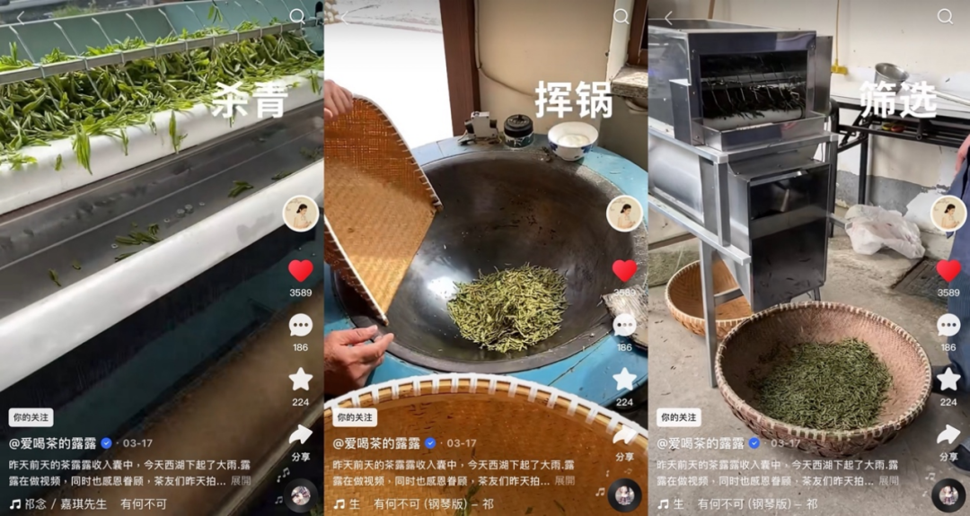 除日常直播外，每到关键的收茶季，露露还会将直播设备带到茶叶的原产地，在收茶现场亲自带用户了解采茶、制茶、选茶的具体过程和工艺细节。