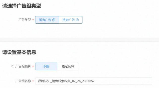 选择广告组类型