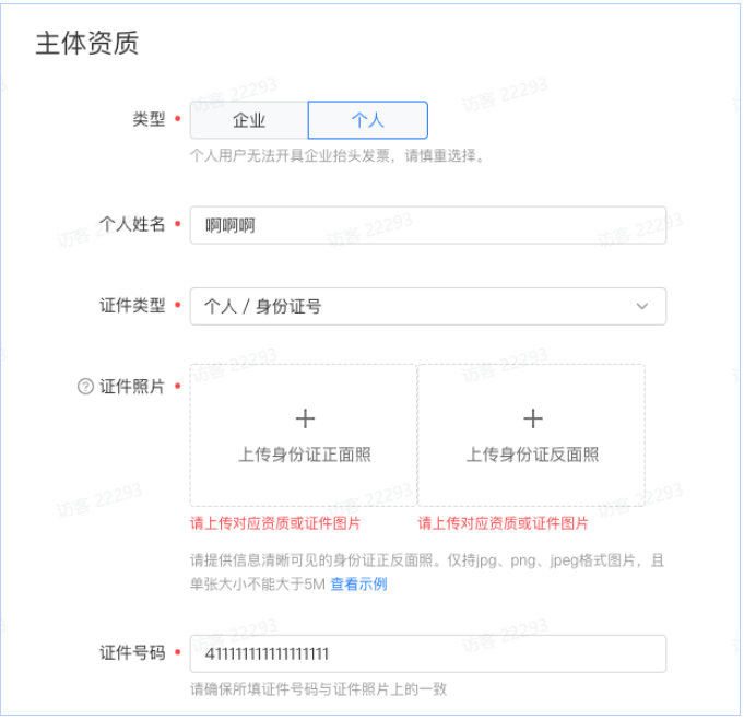 主体资质 主体资质