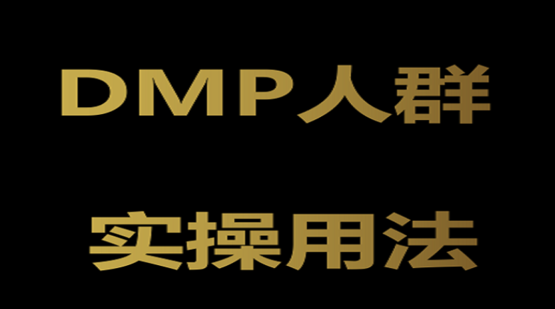 关于快手DMP的专业知识