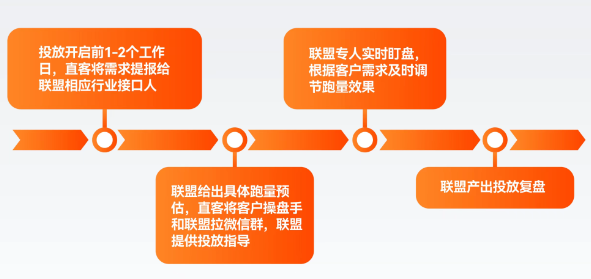 双11内循环投放指南