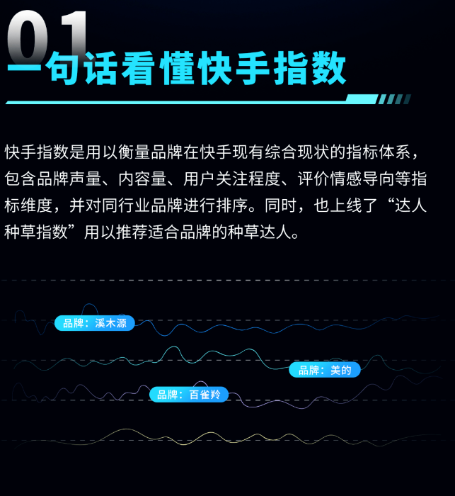 一句话看懂快手指数