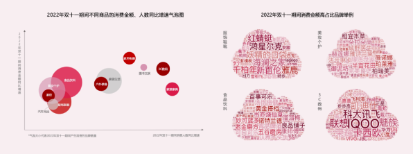 双十一期间消费总金额持续增长