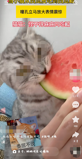 快手单列信息流广告展示图