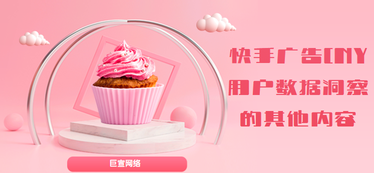 快手广告CNY用户数据洞察的其他内容