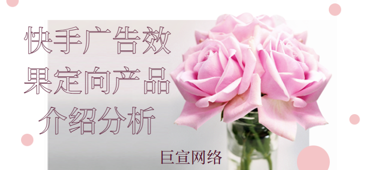 快手广告效果定向产品介绍分析 快手广告效果定向产品介绍分析