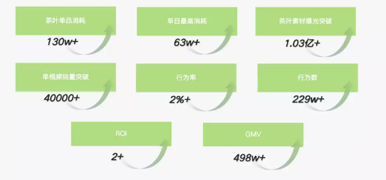 快手广告之项目核心成果展示