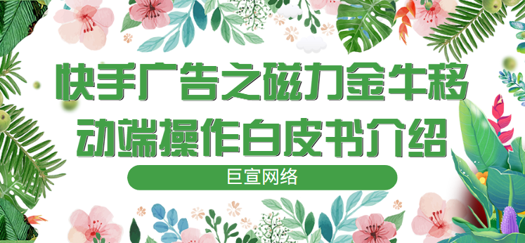 快手广告之磁力金牛移动端操作白皮书介绍