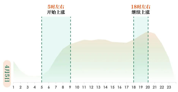 快手站内分小时流量趋势预估