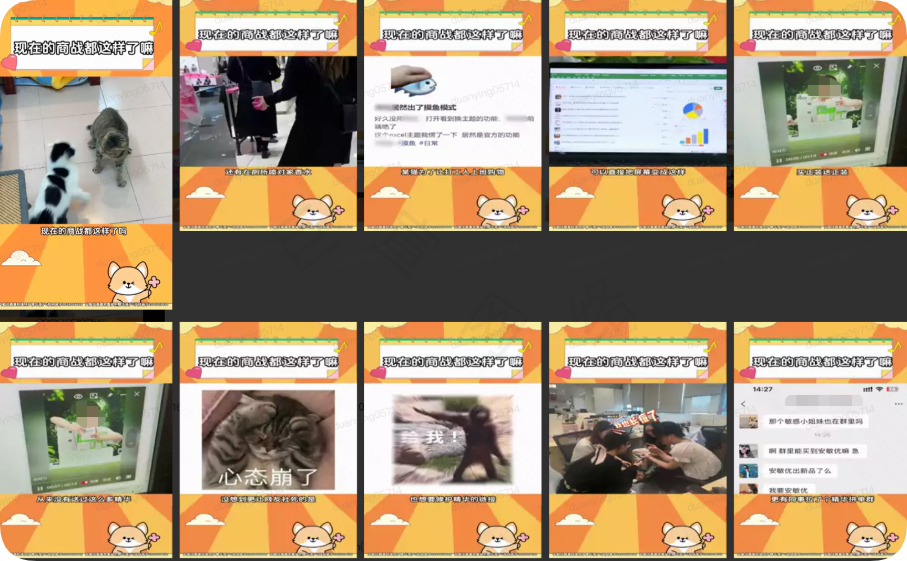 快手优质广告推广案例