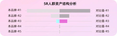 快手广告人群资产结构