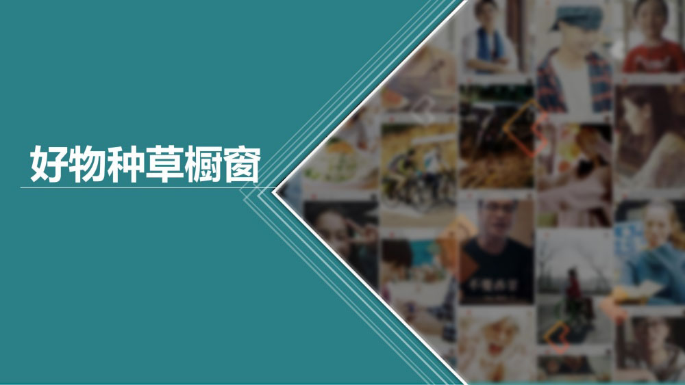 好物种草橱窗
