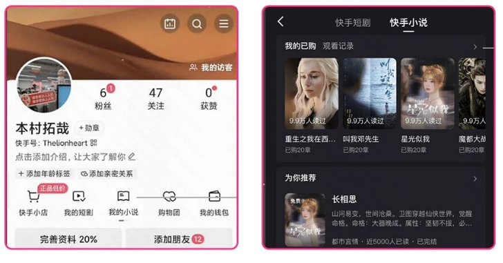 快手广告小说复购入口